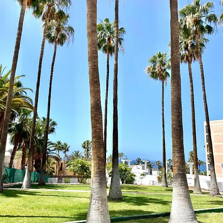 Adeje Vina Del Mar 公寓 *