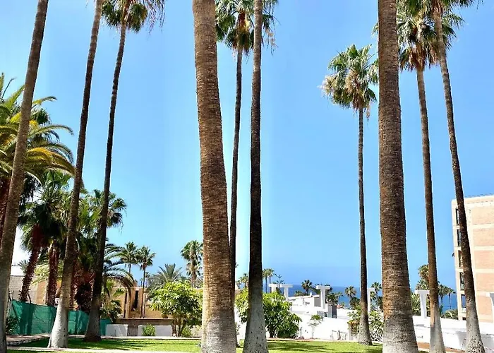 Adeje Vina Del Mar 公寓 *