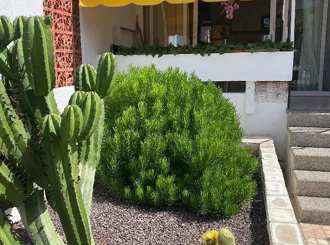 Adeje Vina Del Mar Playa Feñabe